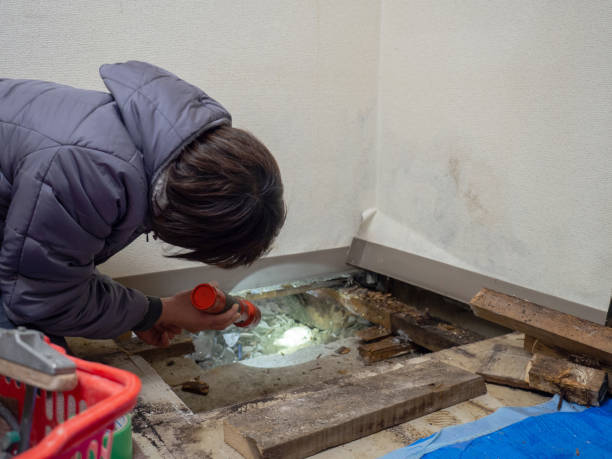 Best Industrial Mold Remediation  in Redington Shores, FL