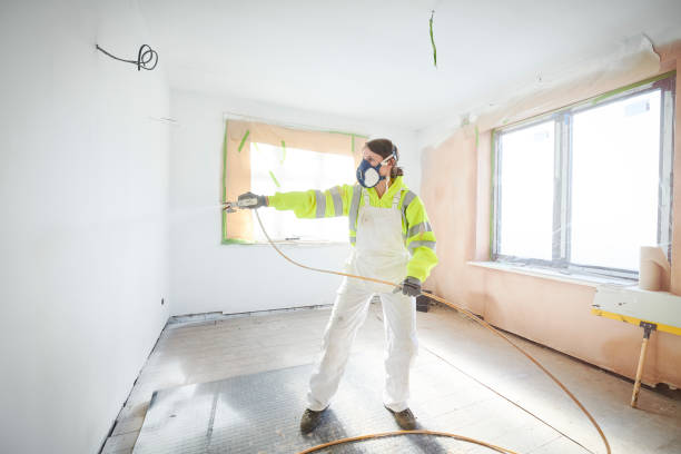 Dehumidification Services in Redington Shores, FL