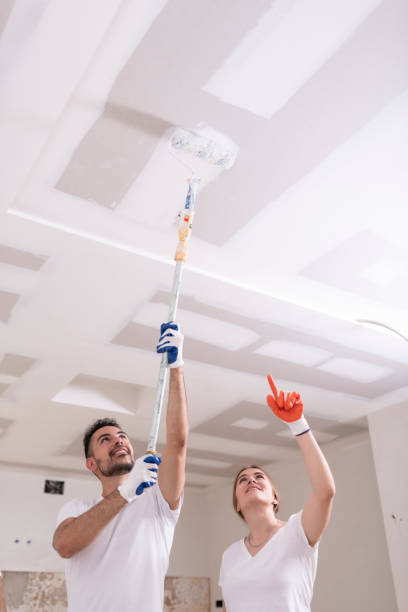 Best Emergency Mold Remediation  in Redington Shores, FL