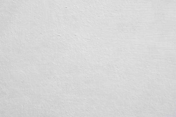  Redington Shores, FL Mold Removal Pros