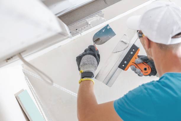 Best Mold Documentation for Insurance Claims  in Redington Shores, FL